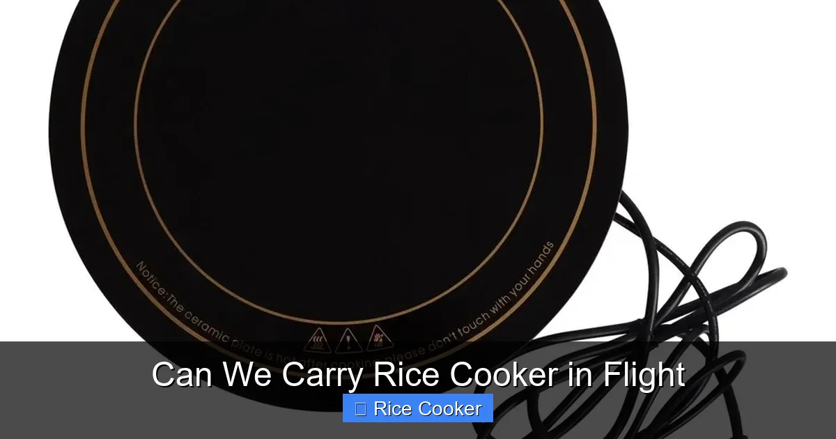 Can We Carry Rice Cooker in Flight