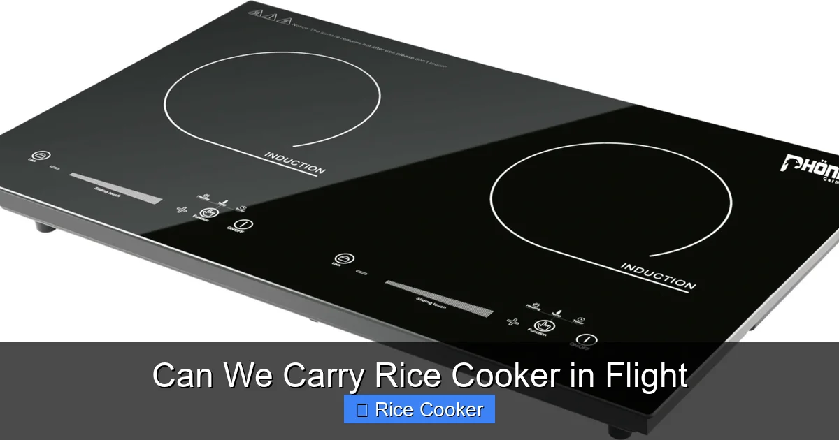 Can We Carry Rice Cooker in Flight
