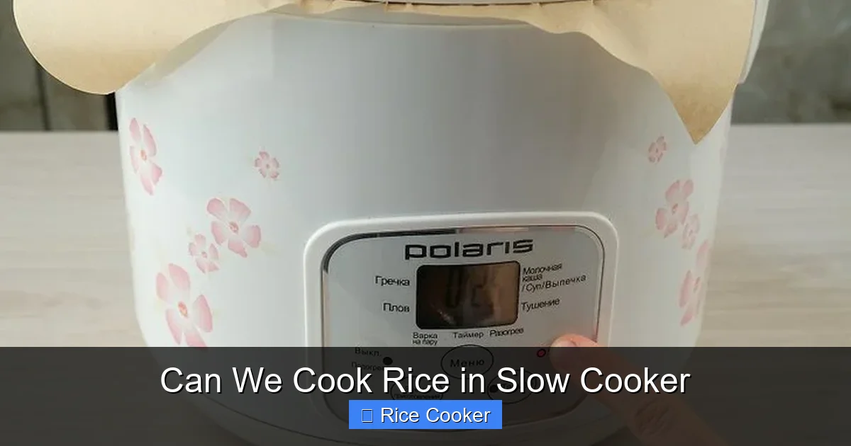 Can We Cook Rice in Slow Cooker