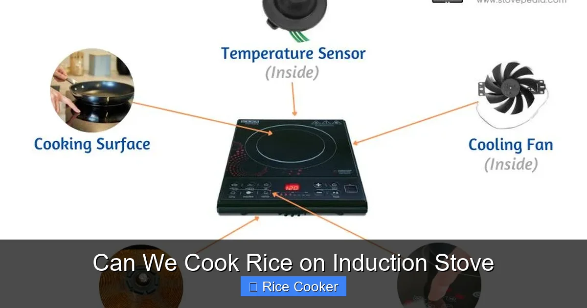 Can We Cook Rice on Induction Stove