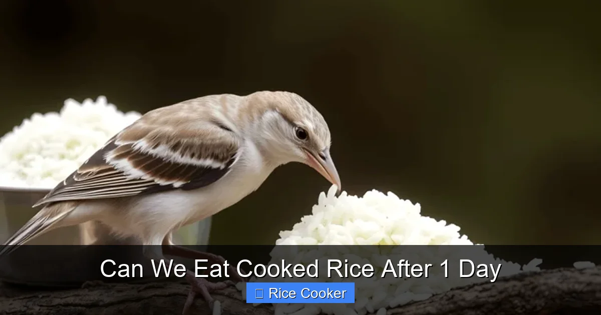 Can We Eat Cooked Rice After 1 Day
