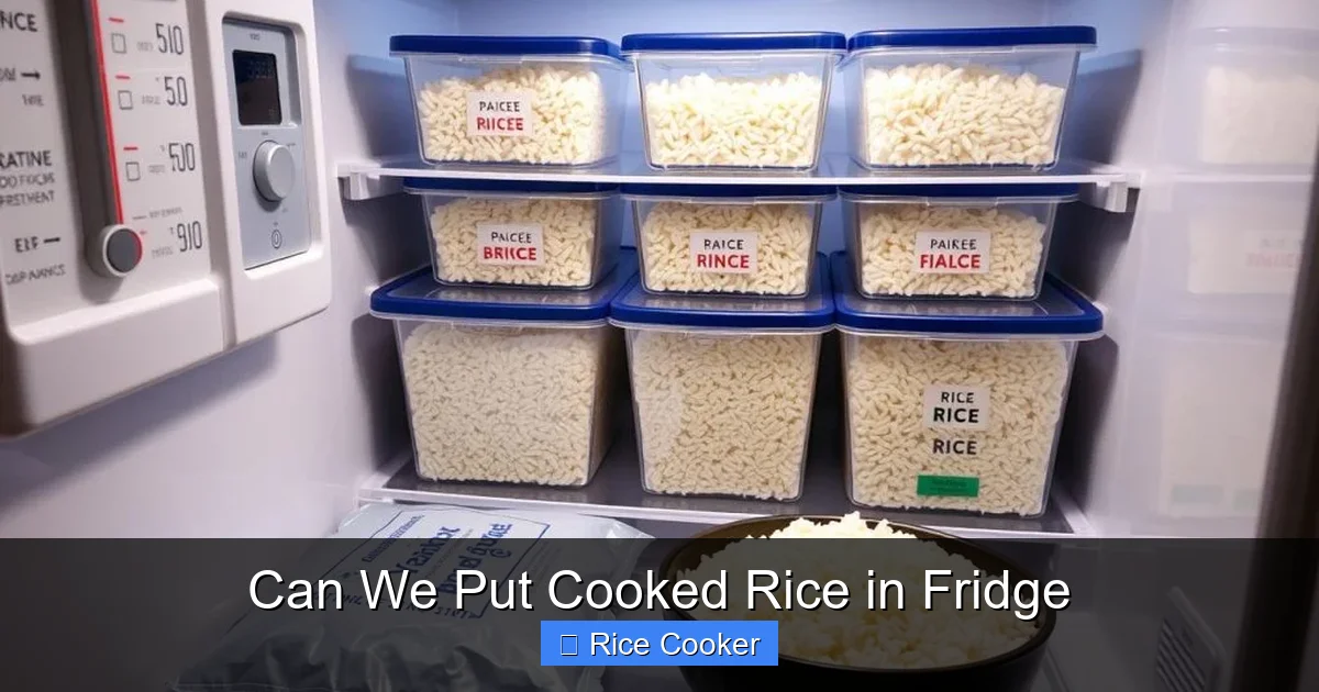 Can We Put Cooked Rice in Fridge