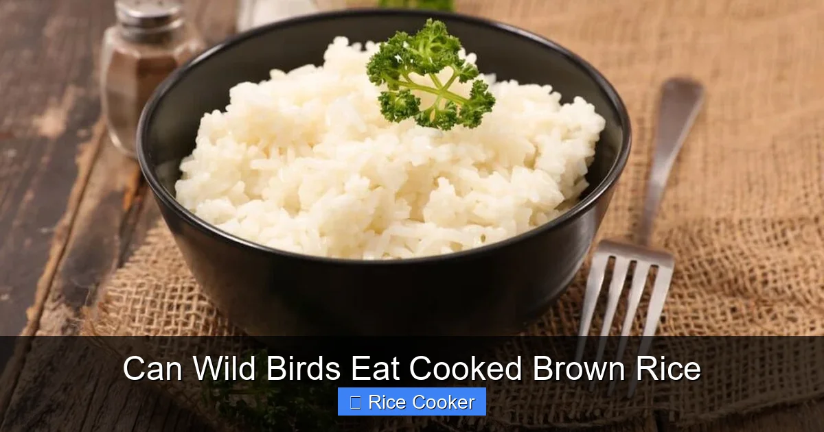 Can Wild Birds Eat Cooked Brown Rice