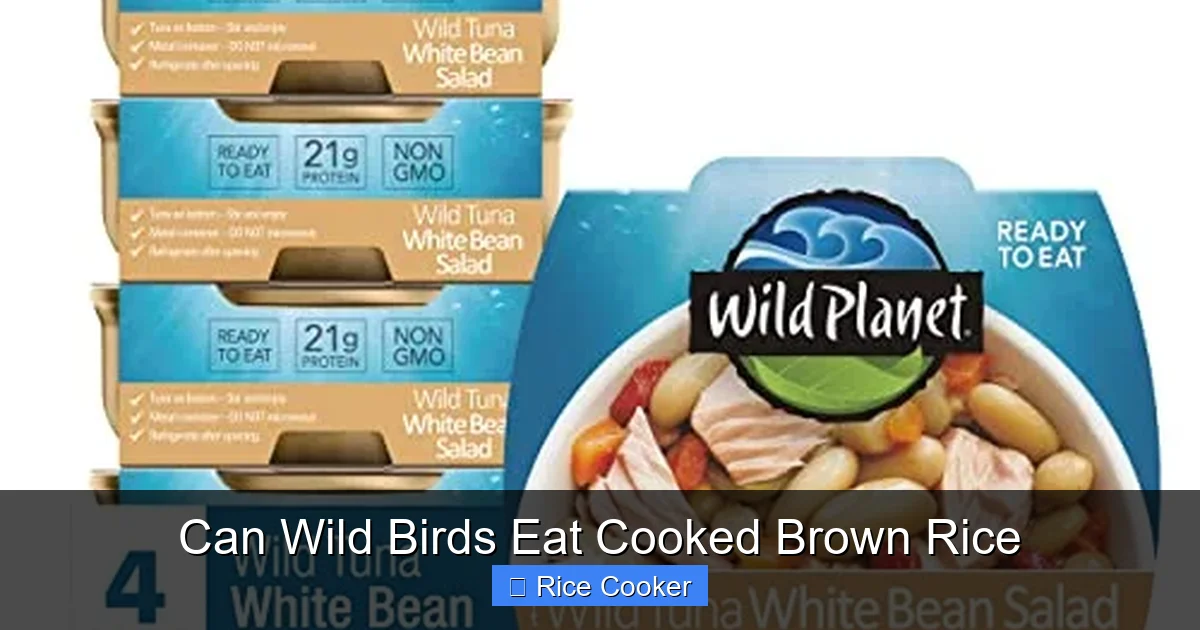 Can Wild Birds Eat Cooked Brown Rice