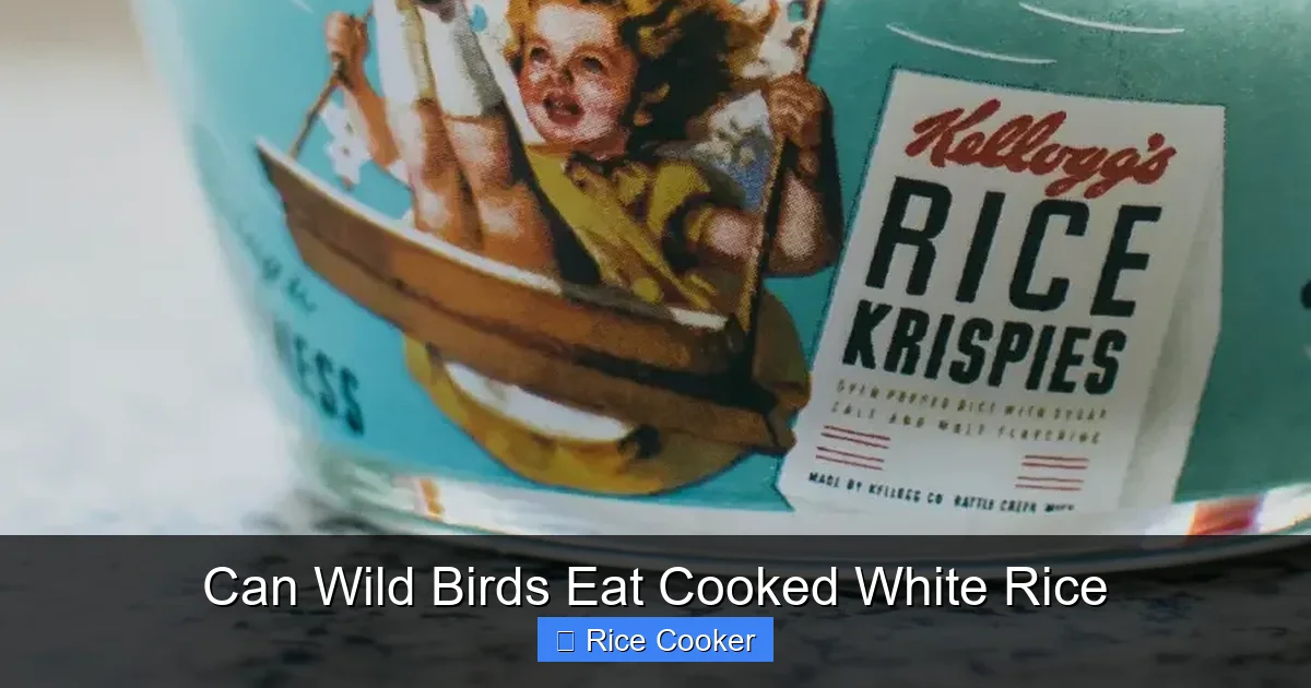 Can Wild Birds Eat Cooked White Rice