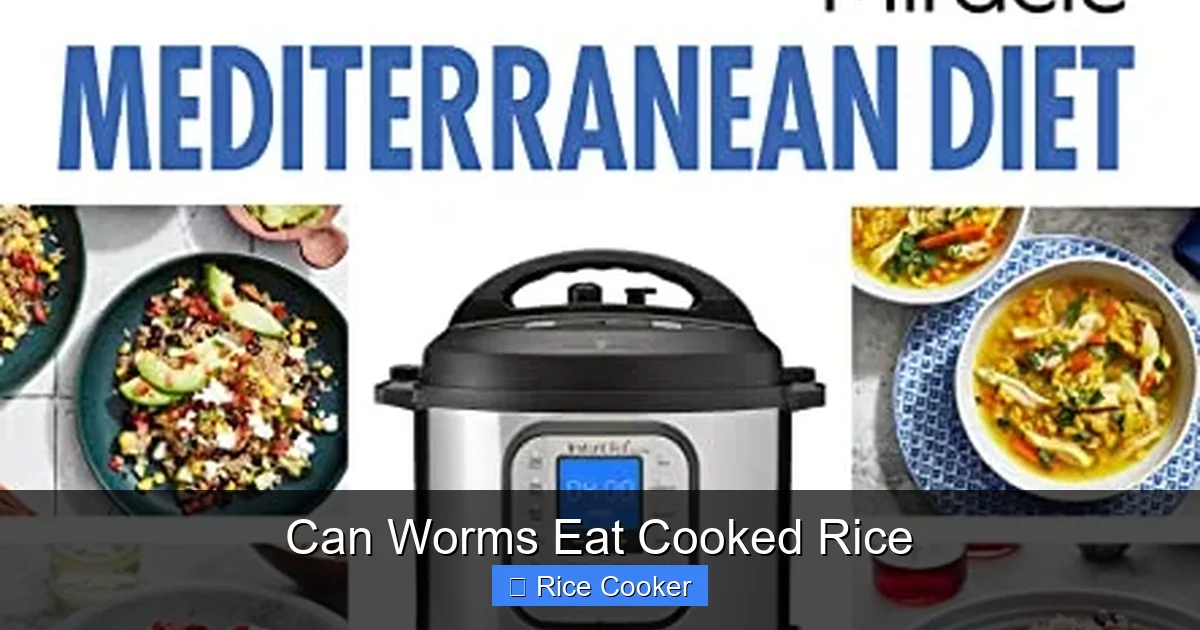 Can Worms Eat Cooked Rice