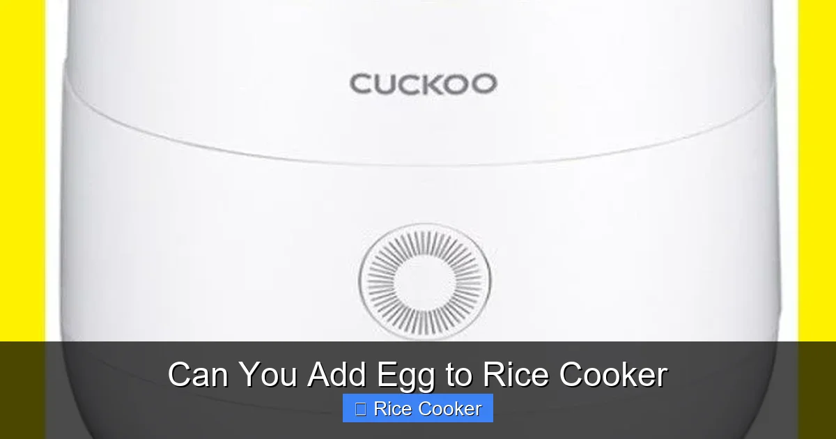 Can You Add Egg to Rice Cooker