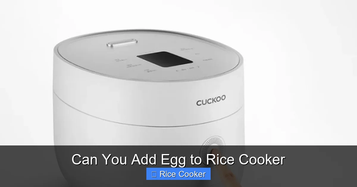 Can You Add Egg to Rice Cooker