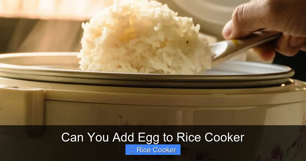 Can You Add Egg to Rice Cooker