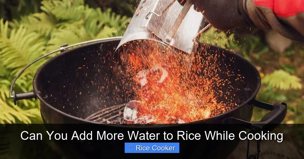 Can You Add More Water to Rice While Cooking