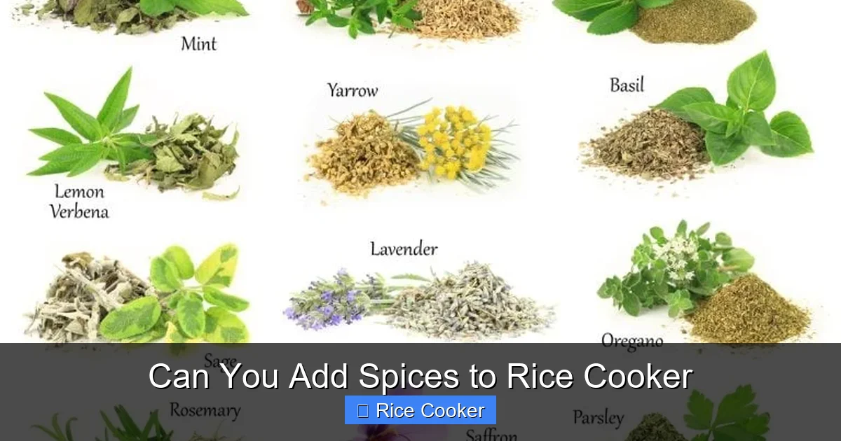 Can You Add Spices to Rice Cooker