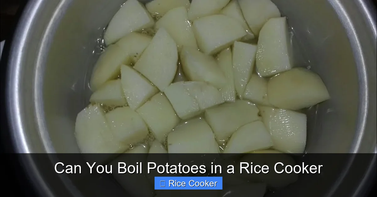 Can You Boil Potatoes in a Rice Cooker