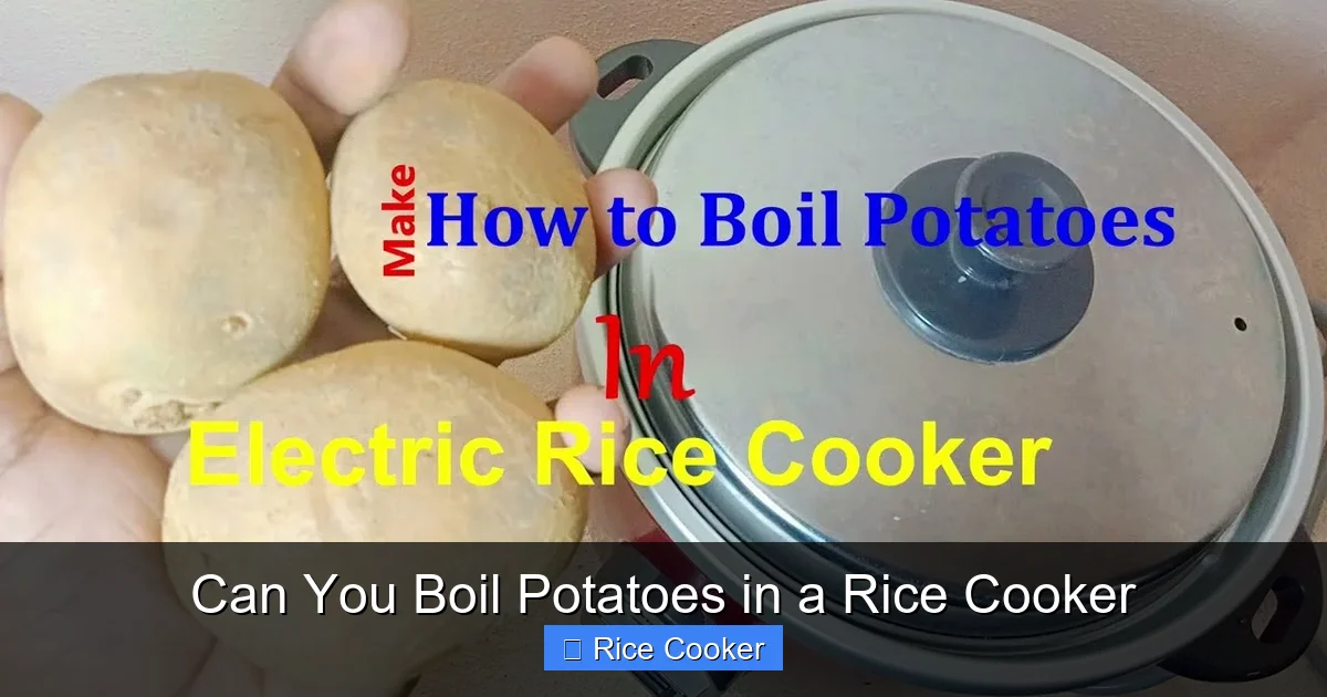 Can You Boil Potatoes in a Rice Cooker