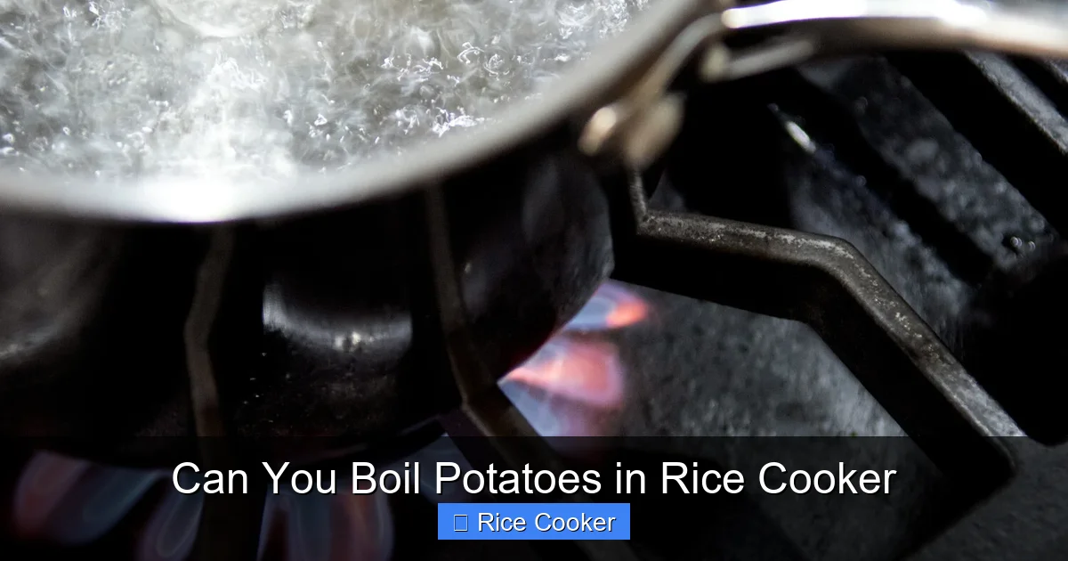 Can You Boil Potatoes in Rice Cooker