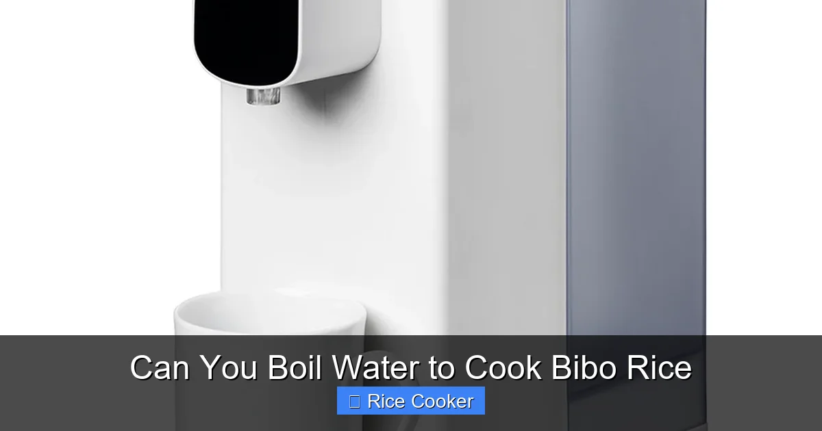 Can You Boil Water to Cook Bibo Rice