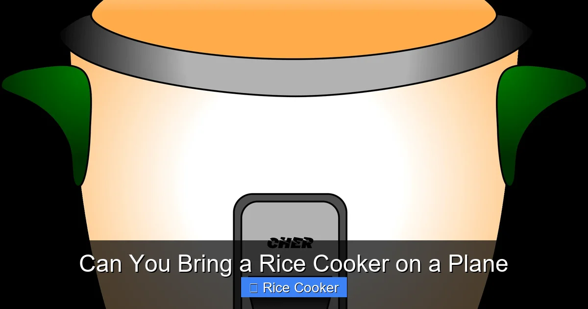 Can You Bring a Rice Cooker on a Plane