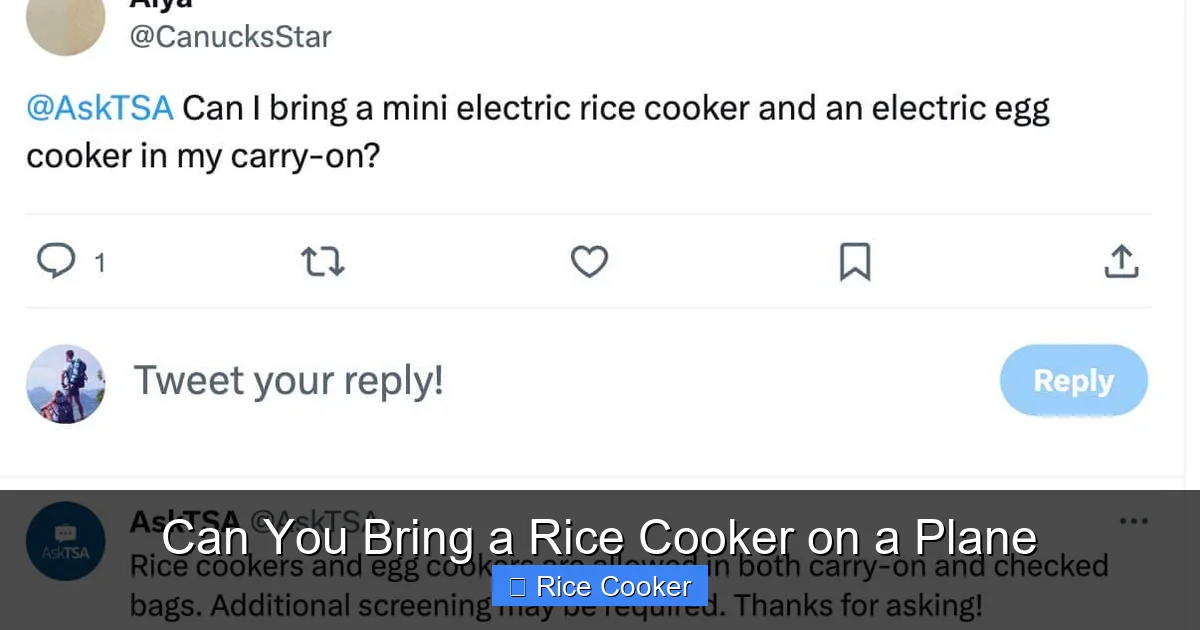 Can You Bring a Rice Cooker on a Plane