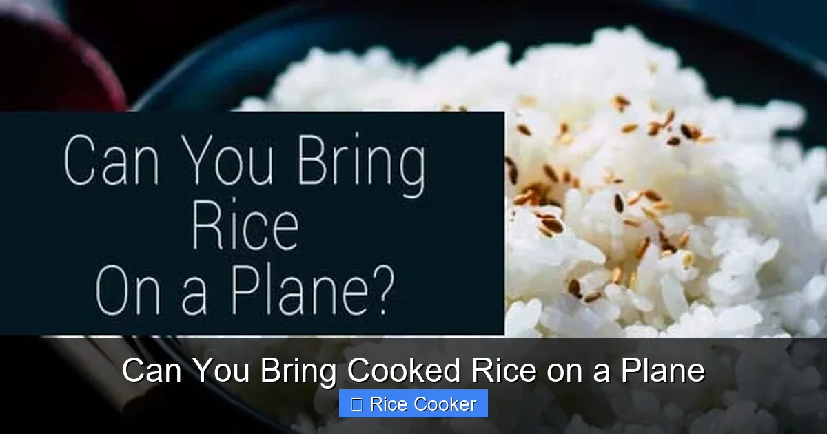 Can You Bring Cooked Rice on a Plane