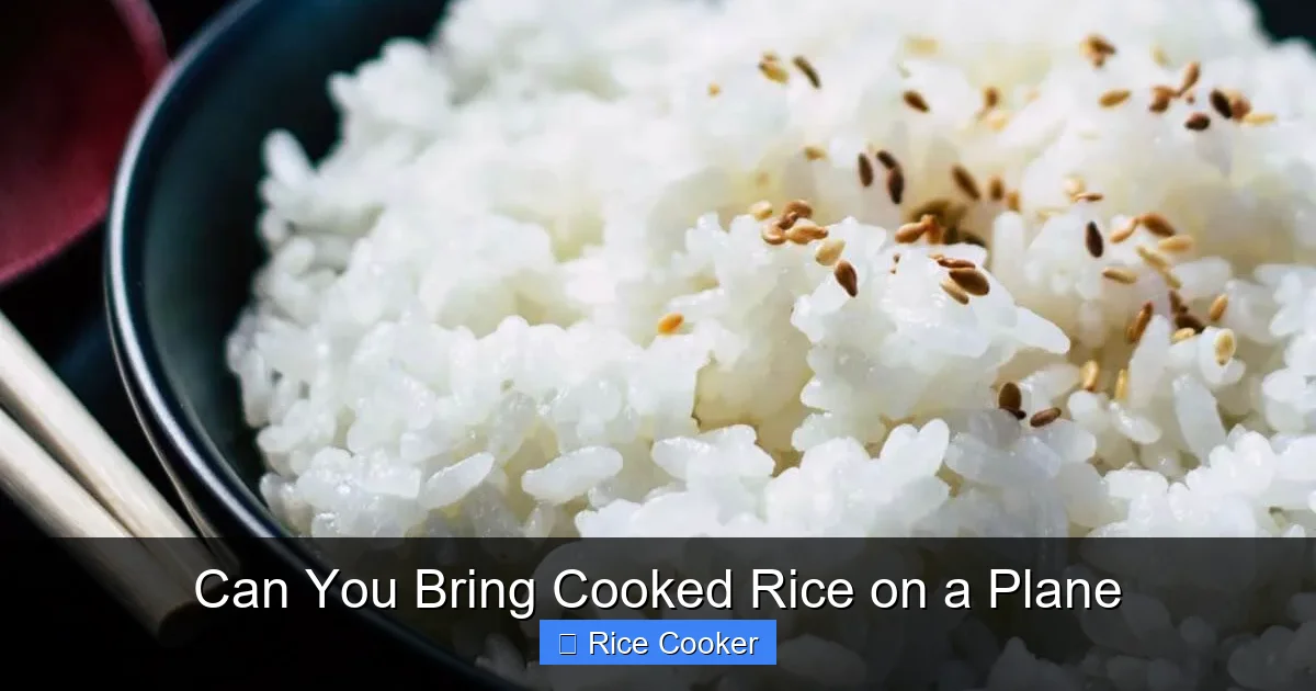 Can You Bring Cooked Rice on a Plane