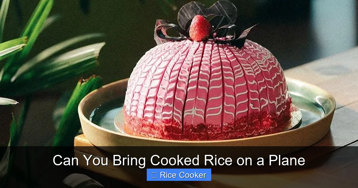Can You Bring Cooked Rice on a Plane