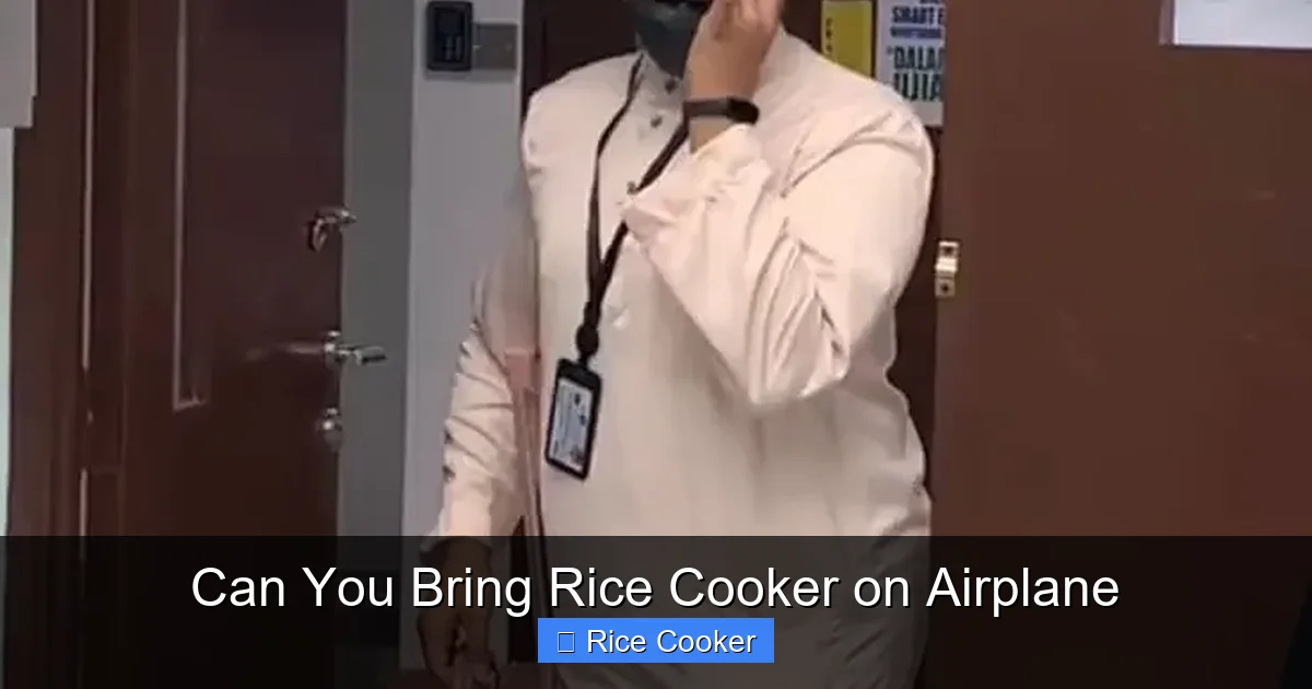 Can You Bring Rice Cooker on Airplane