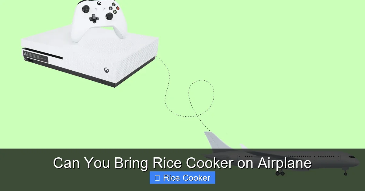 Can You Bring Rice Cooker on Airplane