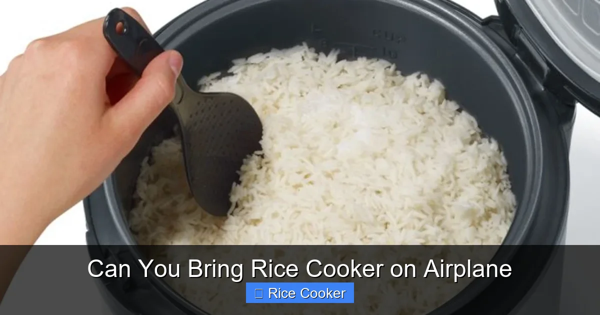 Can You Bring Rice Cooker on Airplane