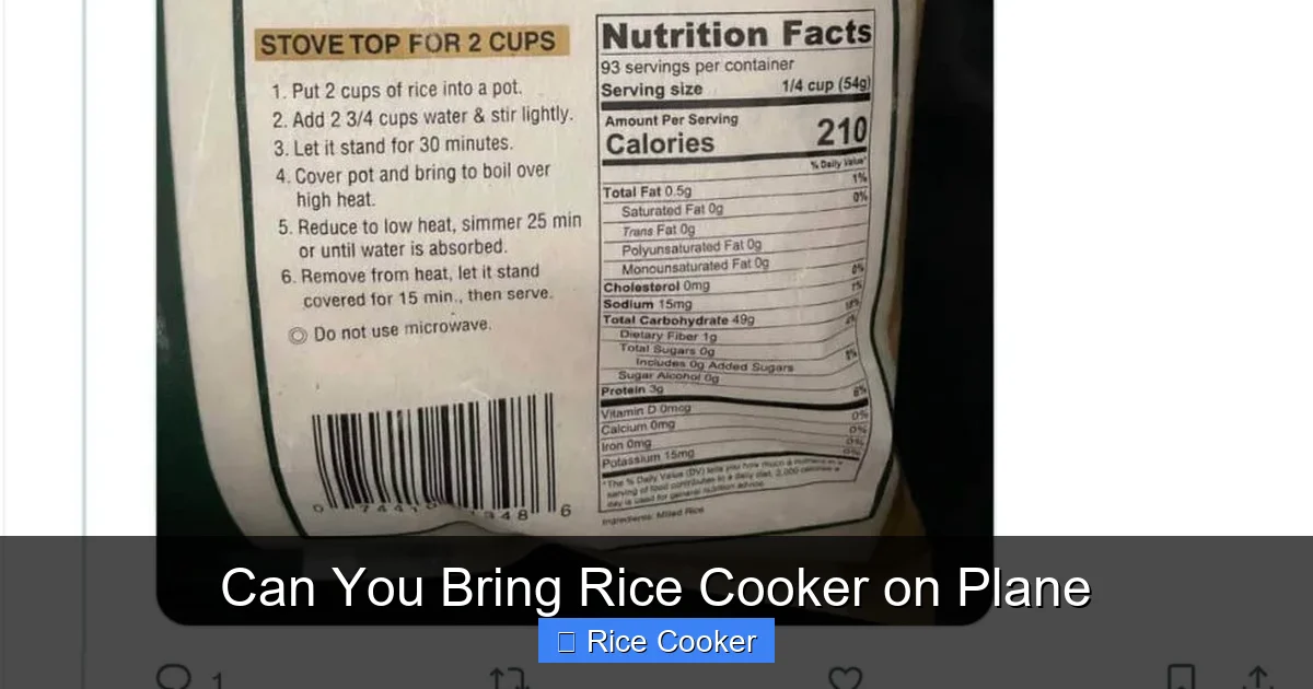 Can You Bring Rice Cooker on Plane