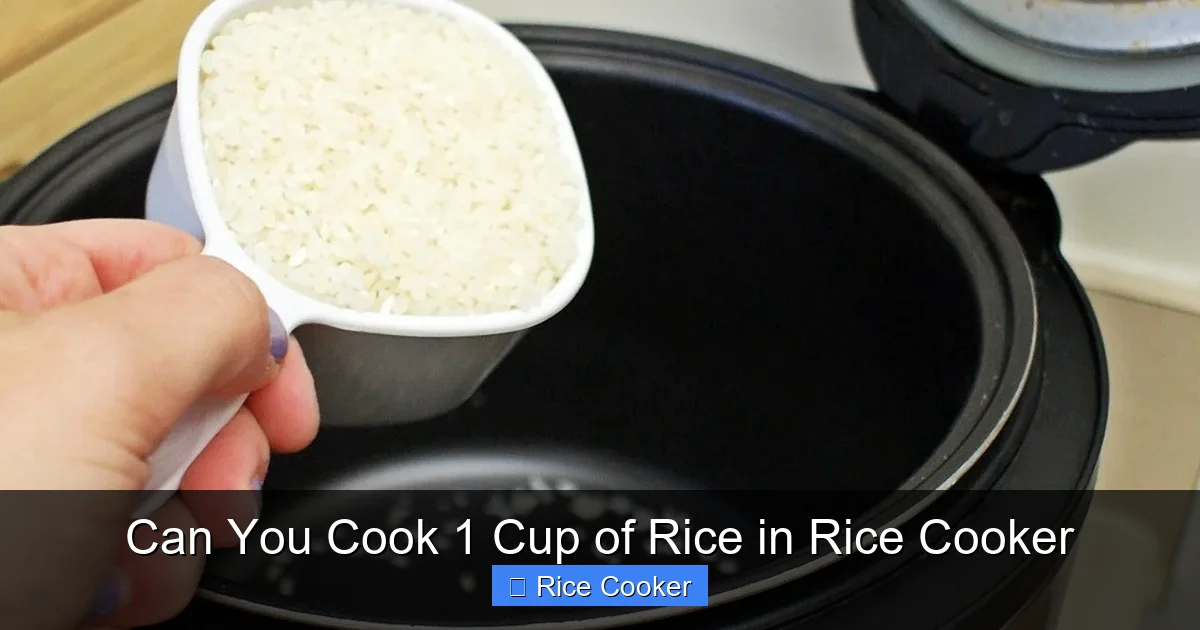 Can You Cook 1 Cup of Rice in Rice Cooker