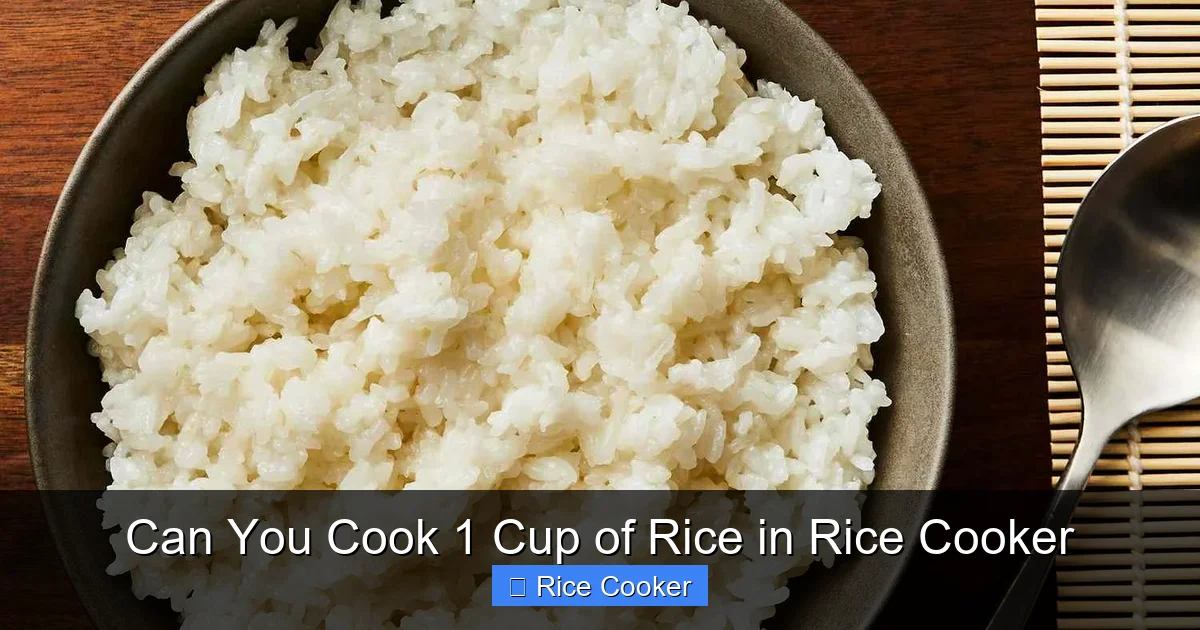 Can You Cook 1 Cup of Rice in Rice Cooker