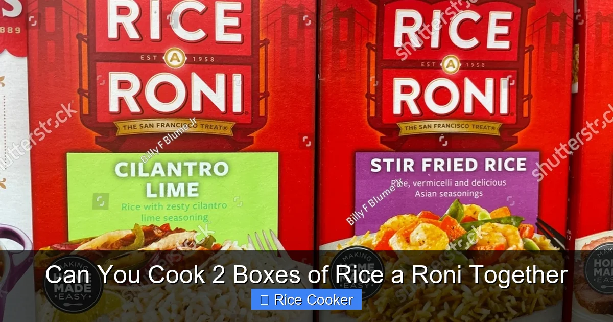 Can You Cook 2 Boxes of Rice a Roni Together