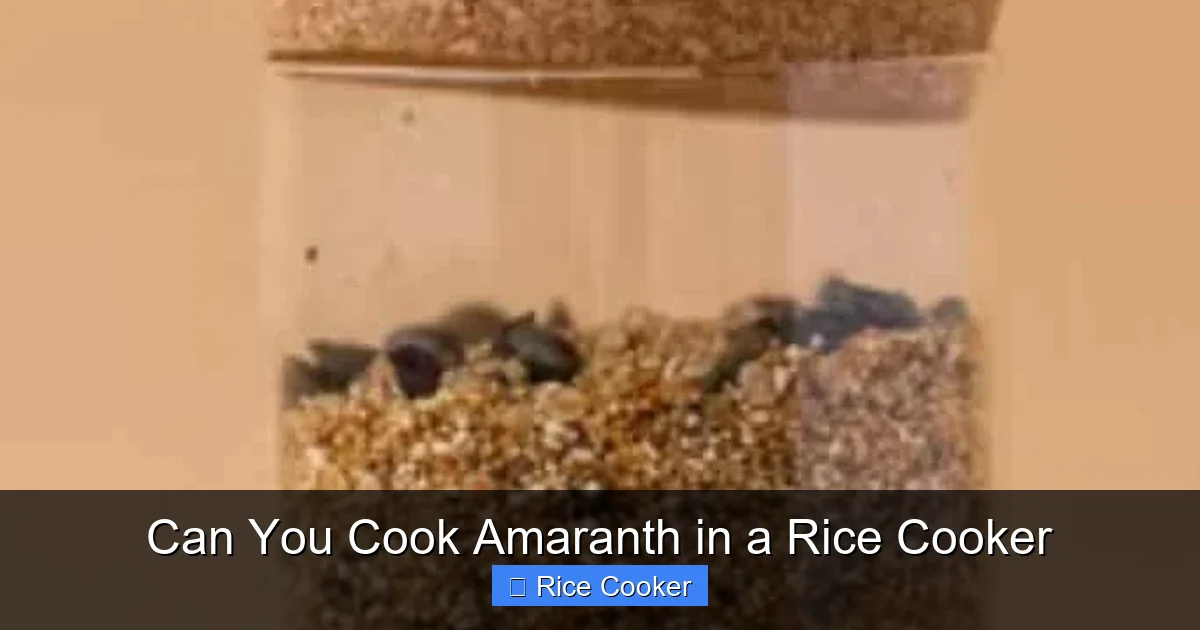 Can You Cook Amaranth in a Rice Cooker