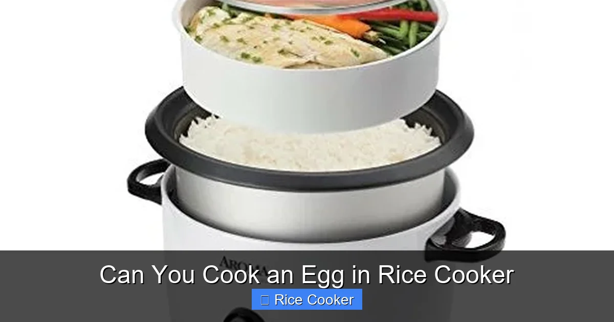 Can You Cook an Egg in Rice Cooker