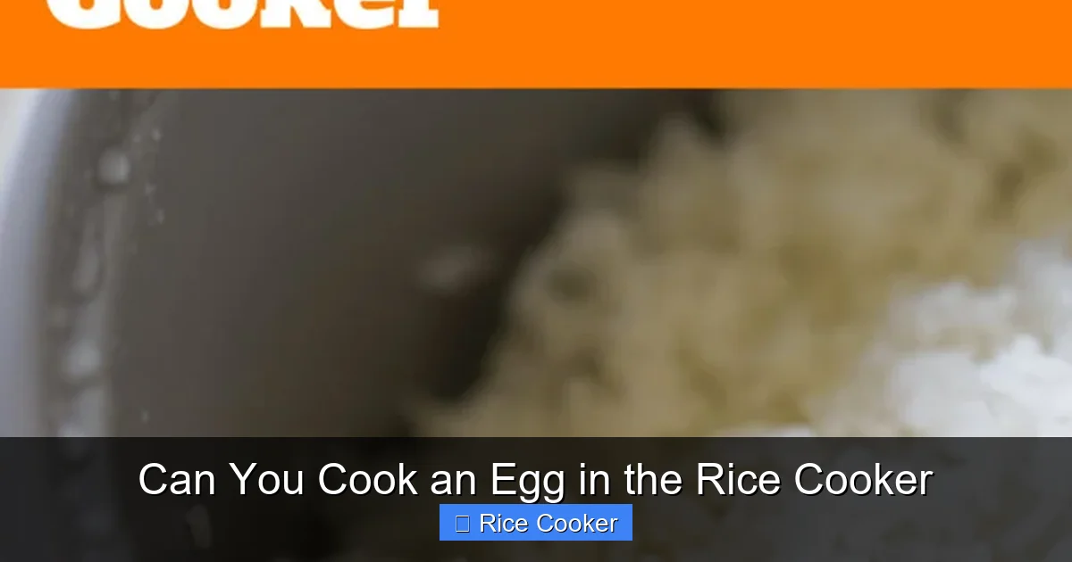 Can You Cook an Egg in the Rice Cooker