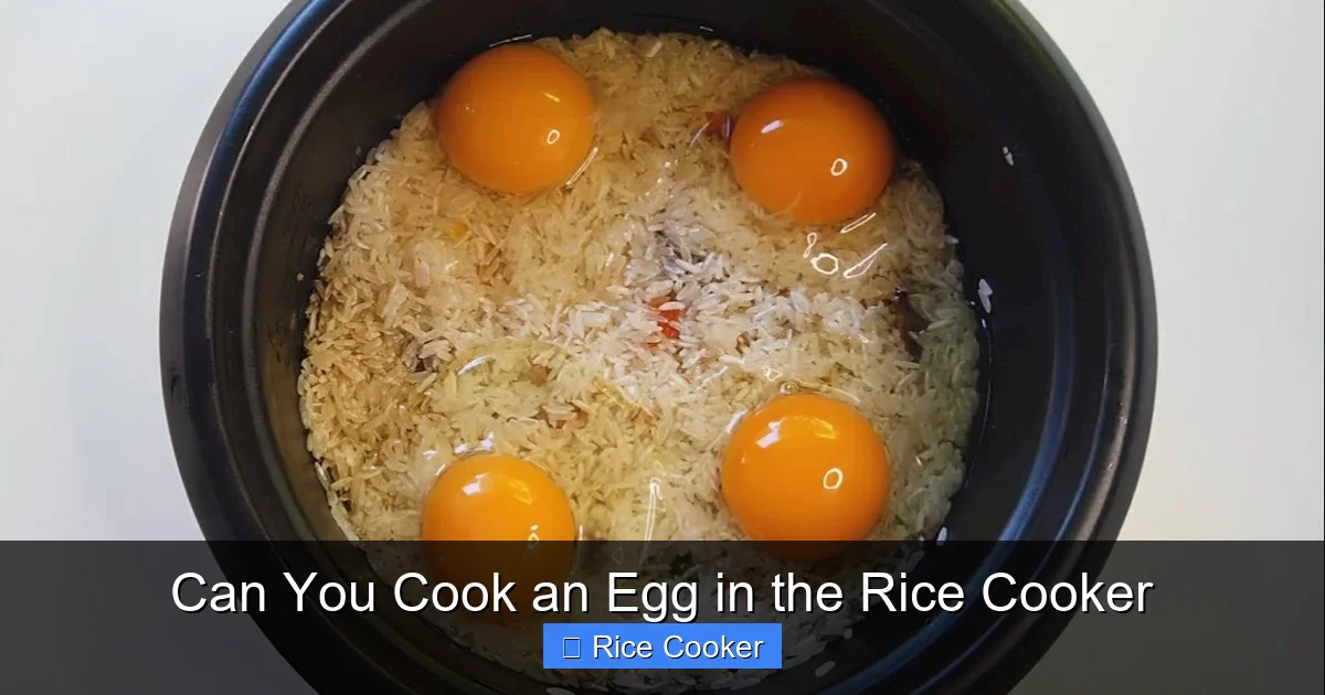Can You Cook an Egg in the Rice Cooker