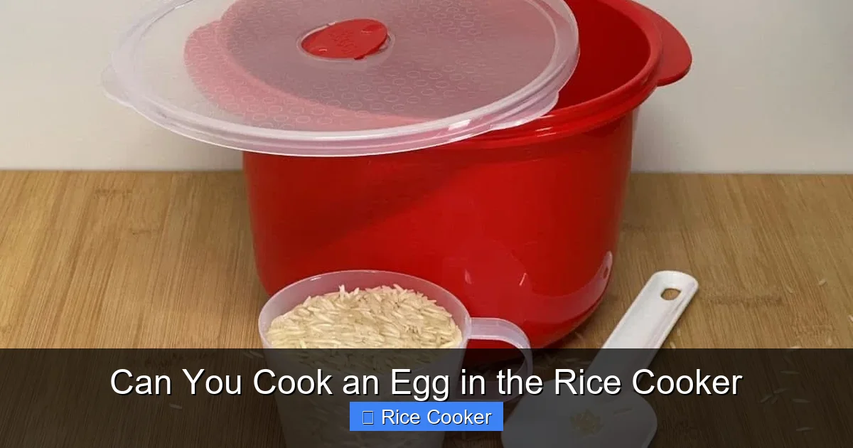 Can You Cook an Egg in the Rice Cooker