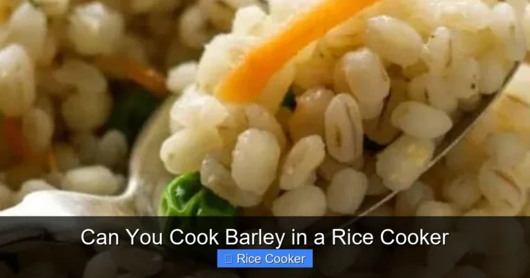 Can You Cook Barley in a Rice Cooker