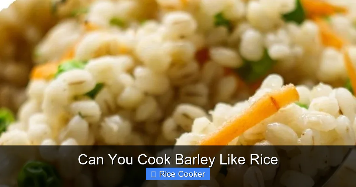 Can You Cook Barley Like Rice