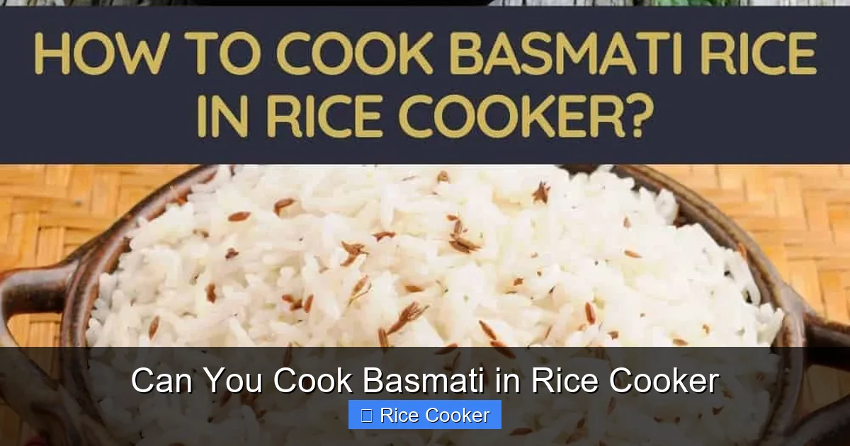 Can You Cook Basmati in Rice Cooker