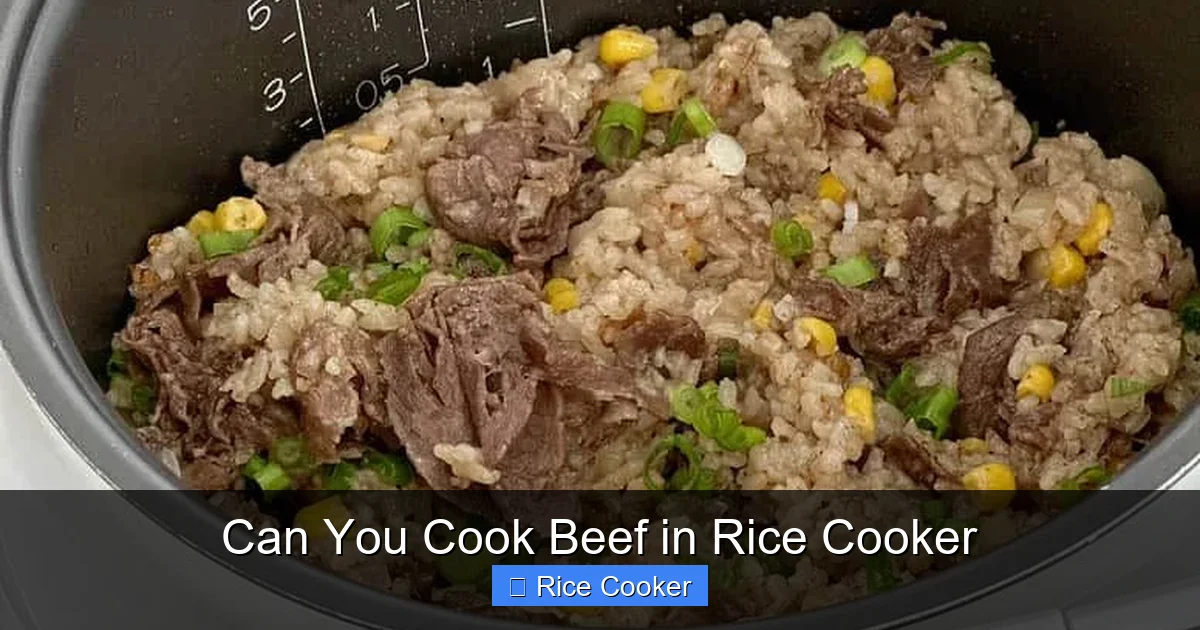 Can You Cook Beef in Rice Cooker