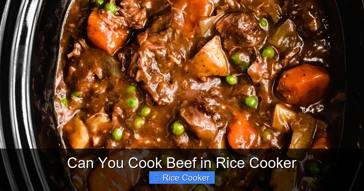 Can You Cook Beef in Rice Cooker