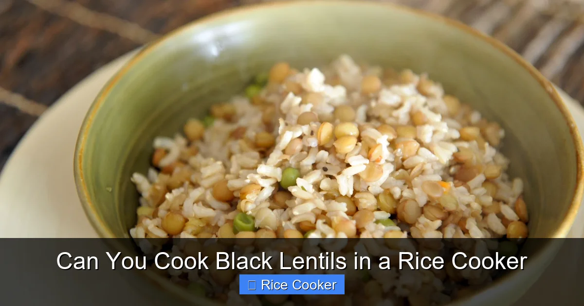 Can You Cook Black Lentils in a Rice Cooker