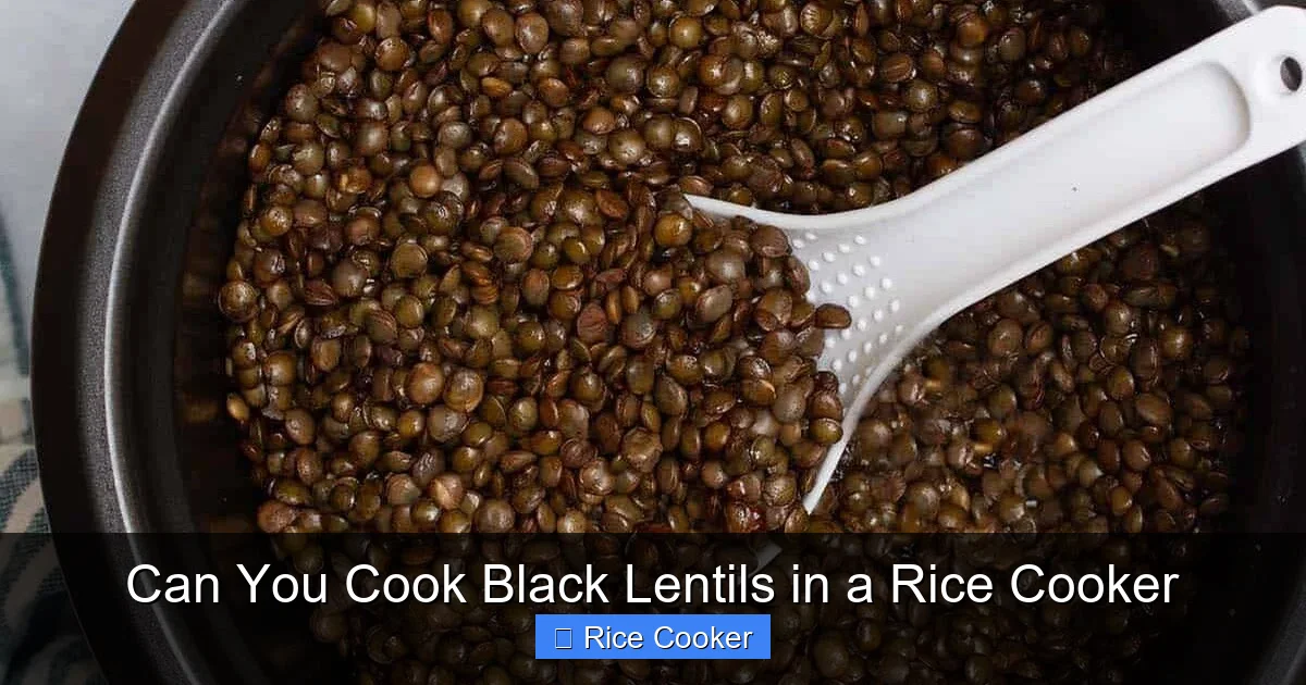 Can You Cook Black Lentils in a Rice Cooker