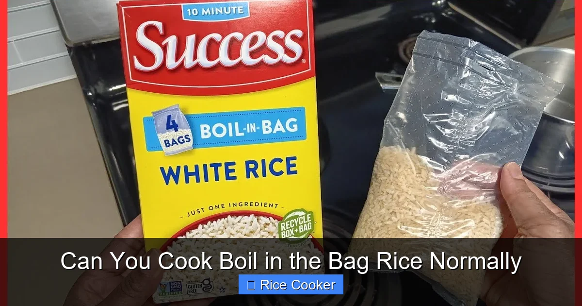 Can You Cook Boil in the Bag Rice Normally