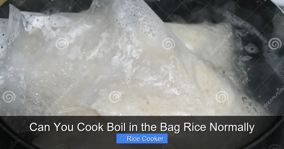 Can You Cook Boil in the Bag Rice Normally