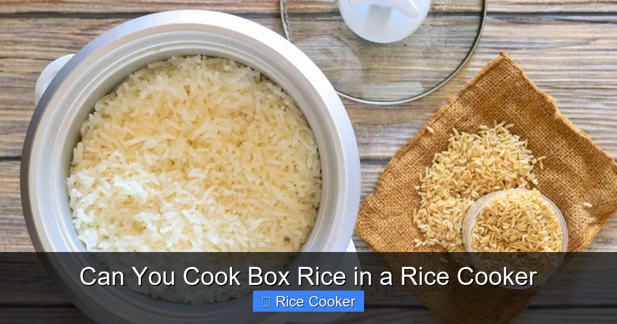 Can You Cook Box Rice in a Rice Cooker