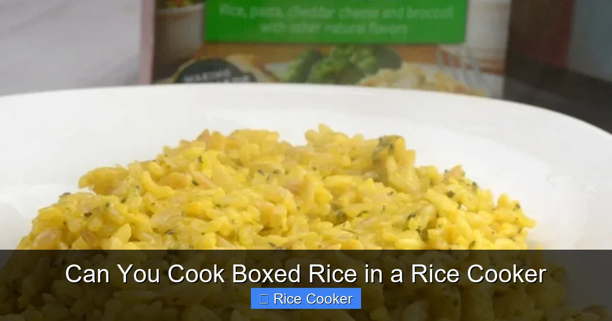 Can You Cook Boxed Rice in a Rice Cooker