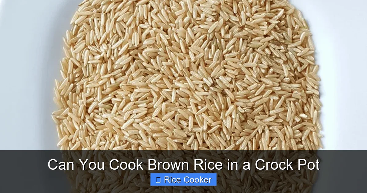 Can You Cook Brown Rice in a Crock Pot