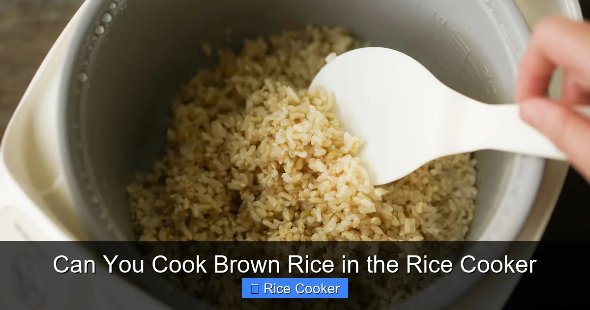 Can You Cook Brown Rice in the Rice Cooker
