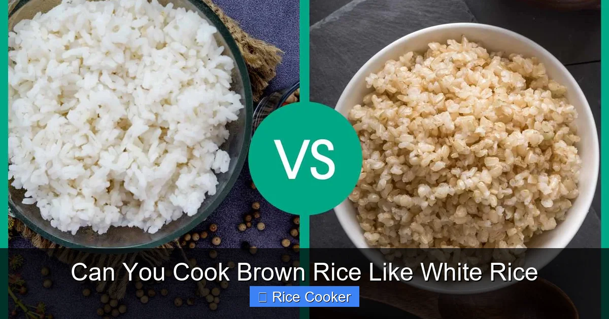 Can You Cook Brown Rice Like White Rice